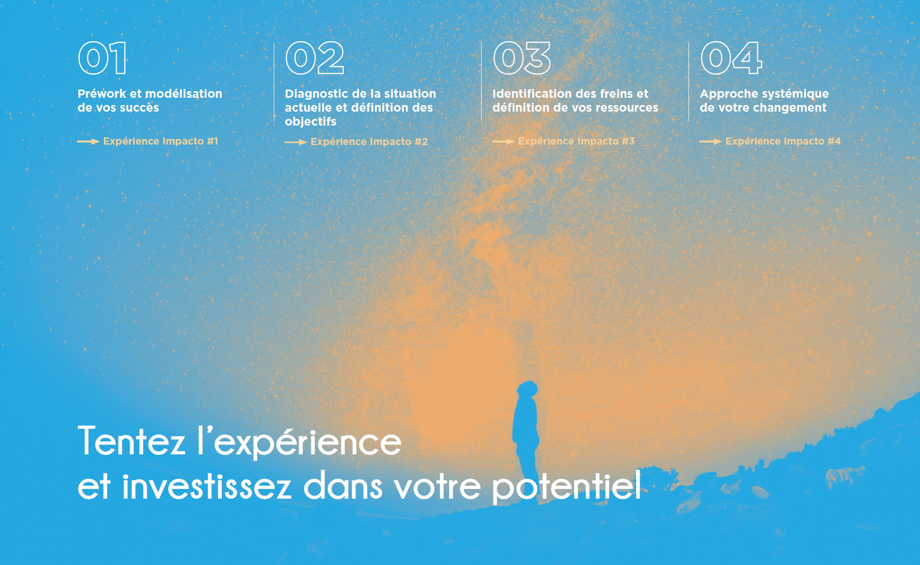 Impacto_déroulé séminaire